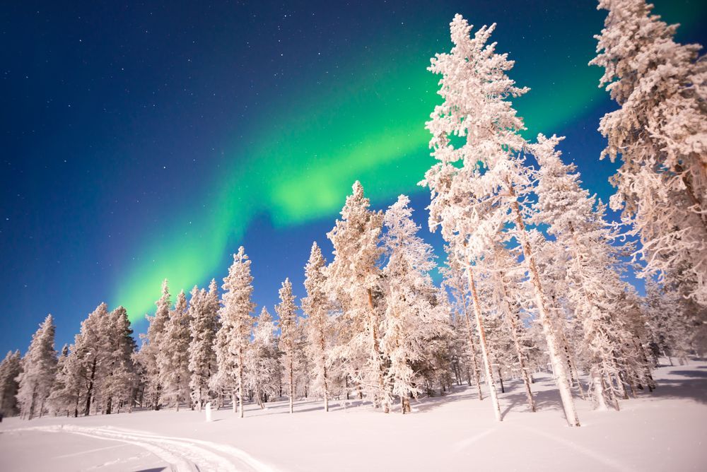 Tours de la Aurora boreal en Rovaniemi