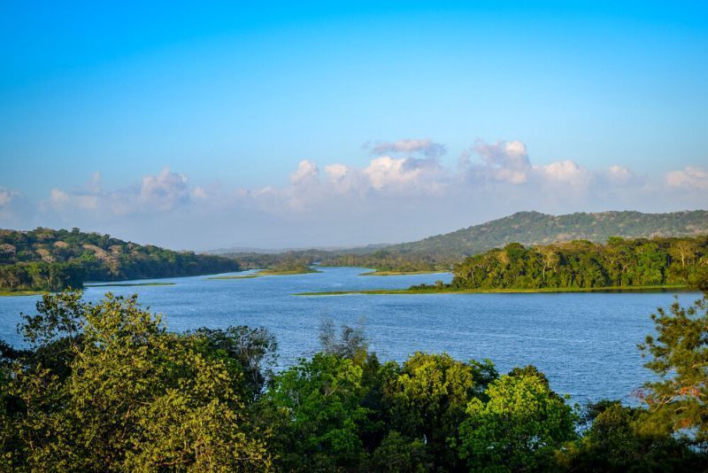 Selva Gamboa: Excursiones de un día desde Panamá (ciudad)