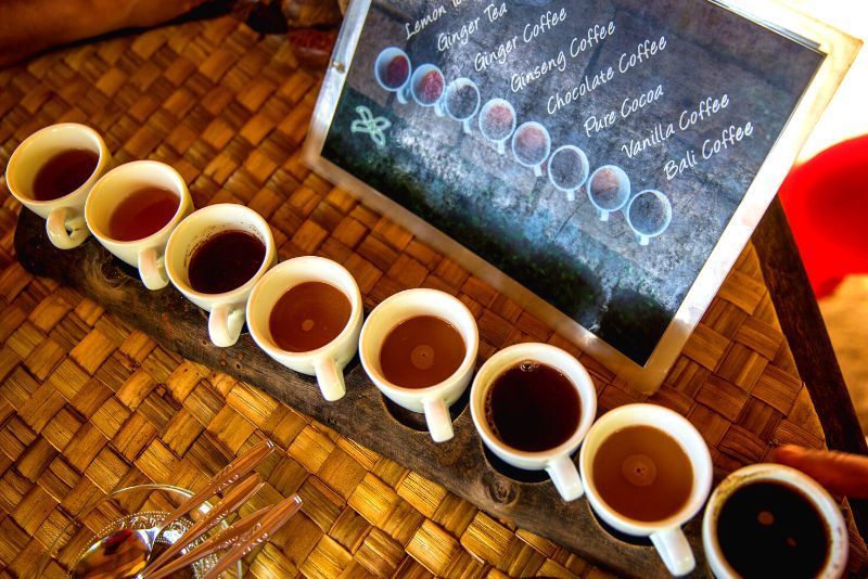 Plantacion de cafe: Excursiones de un día desde Bali