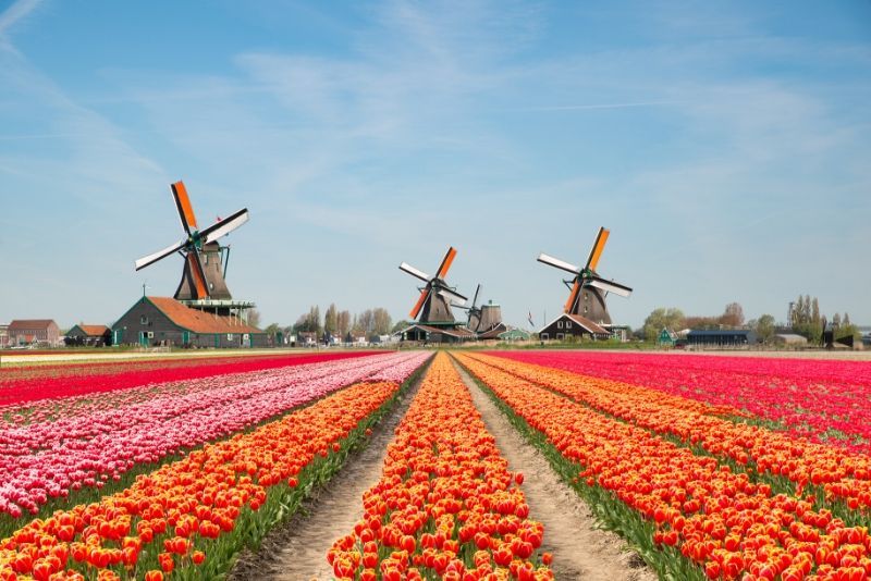 Keukenhof Gardens: Day Trips and Tours from Amsterdam