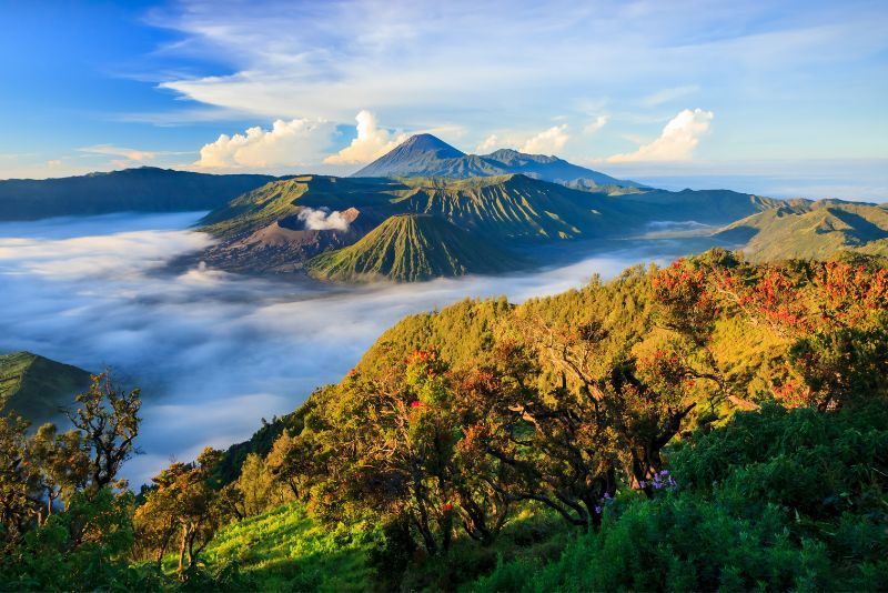 Monte Bromo: Excursiones de un día desde Surabaya