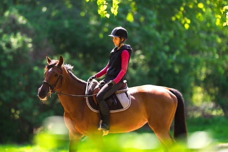 Rutas a caballo en Florencia
