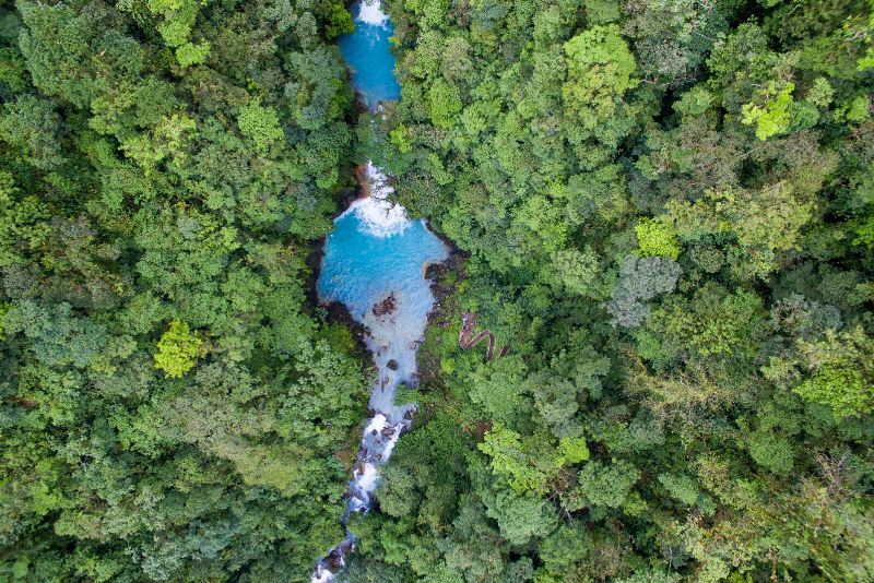 Río Celeste: Excursiones de un día desde La Fortuna