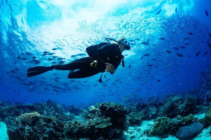 Scuba diving in Dubai