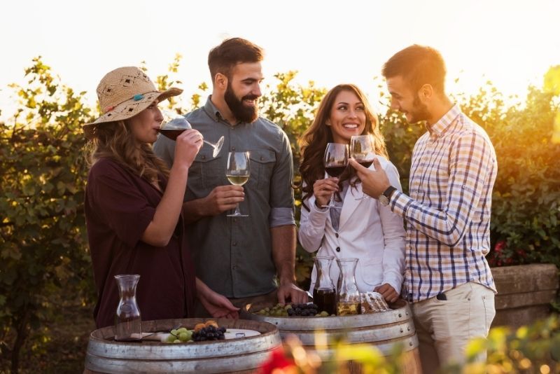 Wine tours and tastings from Florence